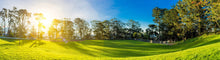 Men's 100% cotton vest - VEST